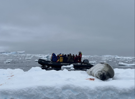 PLA29-24, Day 8, 15 185909 @ Unknown photographer - Oceanwide Expeditions.png