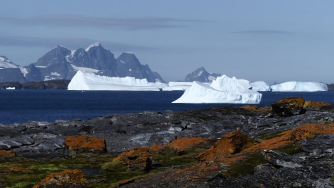 HDS29-24, Day 11, Shingle cove_3011868_© Ursula Tscherter - Oceanwide Expeditions.JPG