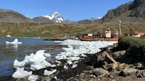 HDS29-24, Day 15, Grytviken_2813_© Ursula Tscherter - Oceanwide Expeditions.jpg