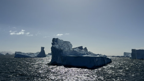 HDS29-24, Day 15, Grytviken_2848_© Ursula Tscherter - Oceanwide Expeditions.jpg