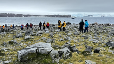 HDS29-24, Day 4, Penguin Island_1413 © Ursula Tscherter - Oceanwide Expeditions.jpg