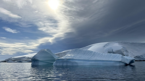 HDS29-24, Day 5, Foyn Harbour_1458_© Ursula Tscherter - Oceanwide Expeditions.jpg