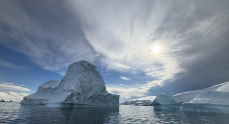 HDS29-24, Day 5, Foyn Harbour_1461_© Ursula Tscherter - Oceanwide Expeditions.jpg