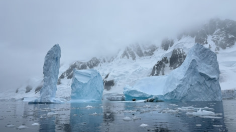 HDS29-24, Day 7, Pleneau_1738_© Ursula Tscherter - Oceanwide Expeditions.jpg