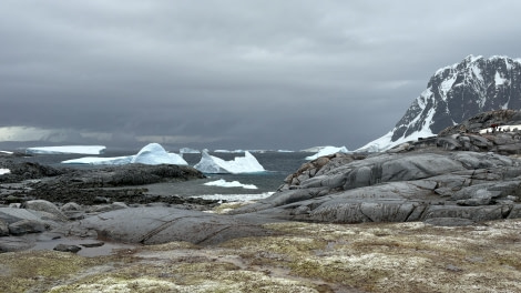 HDS29-24, Day 7, Point Charcot_1891_© Ursula Tscherter - Oceanwide Expeditions.JPG