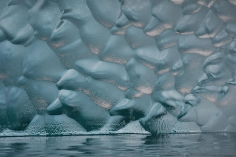 HDS29-24, Day 6, SAS_25FEB (15) © Saskia van der Meij - Oceanwide Expeditions.JPG