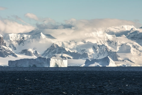 PLA30-24, Day 5, DSC_2337 @ Unknown photographer - Oceanwide Expeditions.jpg