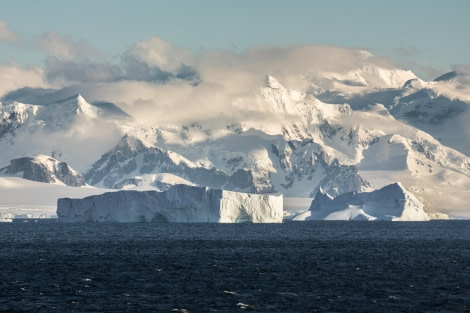 PLA30-24, Day 5, DSC_2341 @ Unknown photographer - Oceanwide Expeditions.jpg