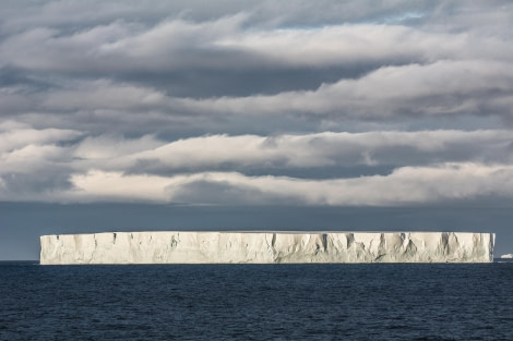 PLA30-24, Day 5, DSC_2342 @ Unknown photographer - Oceanwide Expeditions.jpg