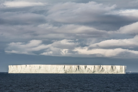 PLA30-24, Day 5, DSC_2345 @ Unknown photographer - Oceanwide Expeditions.jpg