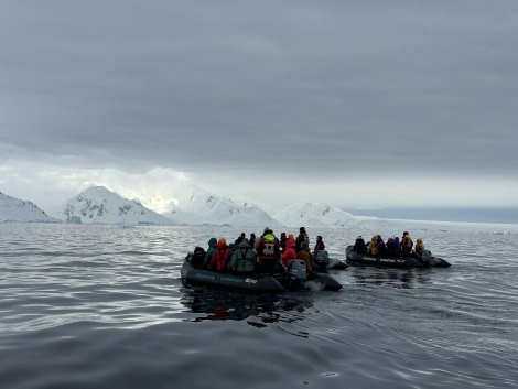 PLA30-24, Day 6, IMG_8459~photo @ Koen Jongerling - Oceanwide Expeditions.jpg