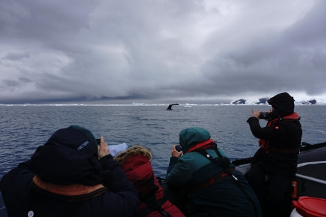 PLA31-24, Day 7, DSC05267 © Unknown photographer - Oceanwide Expeditions.JPG