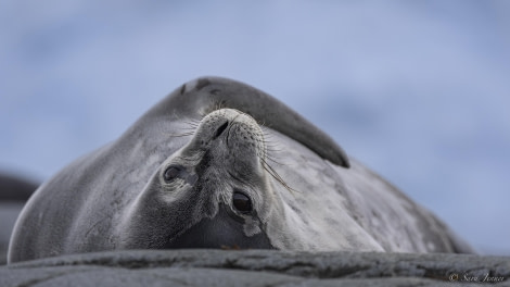 OTL31-24, Day 5, Port Lockroy 3 @ Sara Jenner - Oceanwide Expeditions.jpg