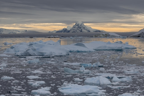 OTL31-24, Day 6, Port Charcot 2 @ Sara Jenner - Oceanwide Expeditions.jpg