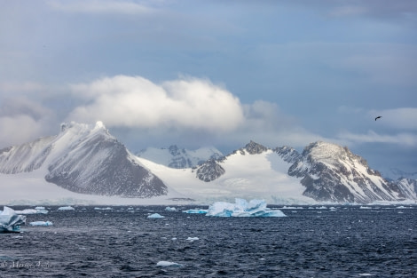 HDS30-24, Day 5, 088A4517 © Martin Anstee - Oceanwide Expeditions.jpg