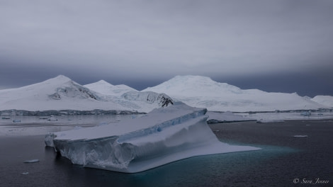 OTL32-24, Day 5, The Gullet 4 @  Sara Jenner - Oceanwide Expeditions.jpg