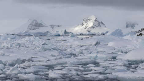 OTL32-24, Day 8, Fish Islands 12 @  Sara Jenner - Oceanwide Expeditions.jpg