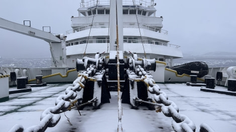 PLA32-24, Day 4, FullSizeRender_8 @ Unknown photographer - Oceanwide Expeditions.jpg