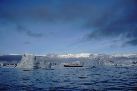 PLA32-24, Day 8, DSC05947 @ Unknown photographer - Oceanwide Expeditions.JPG