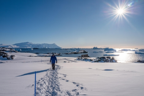 Stepping on Antarctic