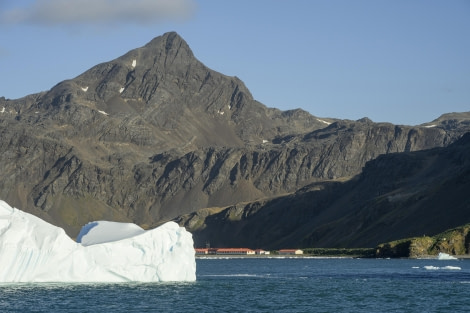 Grytviken