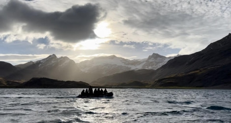 HDS31-24, Day 6, Zodiac Stromness © Elizabeth Robinson - Oceanwide Expeditions.jpg