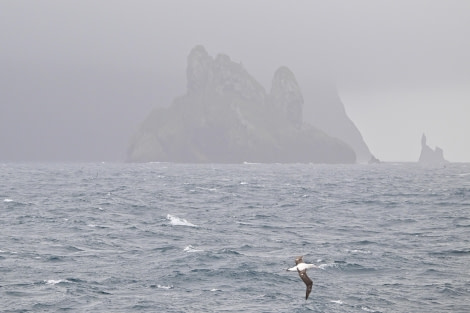 HDS31-24, Day 13, DSC_4887 © Unknown photographer - Oceanwide Expeditions.JPG