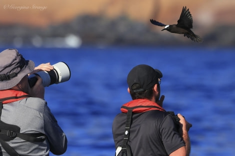 HDS31-24, Day 23, 5A8A8428-Edit © Georgina Strange - Oceanwide Expeditions.jpg