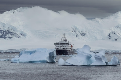 The Hondius at Cuverville Island (De Hondius op het eiland Cuverville)