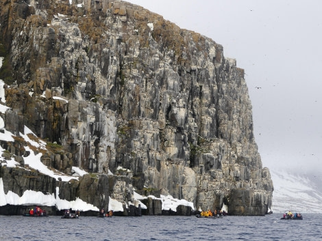 PLA03-24, Day 4, Alkefjellet 1 © Unknown photographer - Oceanwide Expeditions.JPG