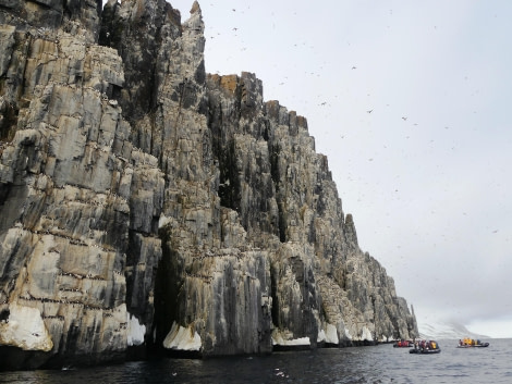 PLA03-24, Day 4, Alkefjellet 3 © Unknown photographer - Oceanwide Expeditions.JPG