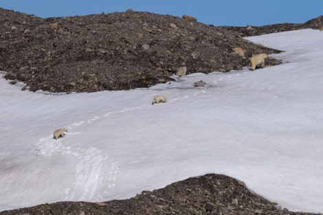 HDS04-24, Day 2, 4Q9A7343 © Katlyn Taylor - Oceanwide Expeditions.jpeg