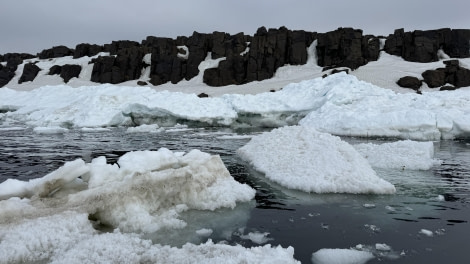 HDS04-24, Day 5, zodiaccruise © Meike Sjoer - Oceanwide Expeditions.jpg