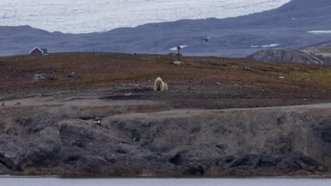 HDS05-24, Day 2, 4Q9A8081-2 © Katlyn Taylor - Oceanwide Expeditions.jpeg