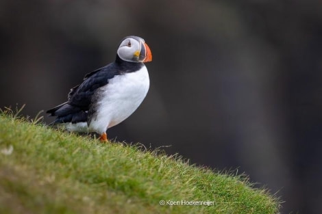 OTL05-24, Day 3, Picture8 © Koen Hoekemeijer - Oceanwide Expeditions.jpg