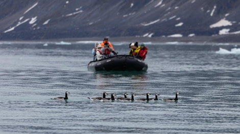 HDS07-24, Day 3, 4Q9A2403 © Katlyn Taylor - Oceanwide Expeditions.jpeg