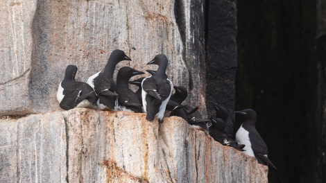 HDS07-24, Day 6, 4Q9A2692 © Katlyn Taylor - Oceanwide Expeditions.jpeg