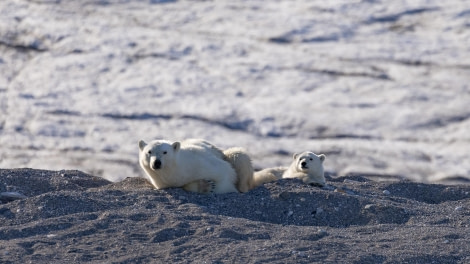 HDS07-24, Day 7, 4Q9A3445 © Katlyn Taylor - Oceanwide Expeditions.jpeg