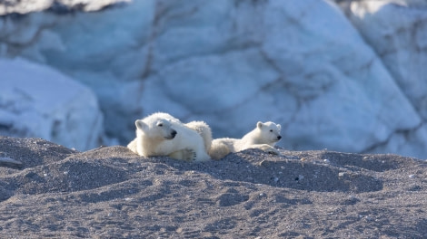 HDS07-24, Day 7, 4Q9A3494 © Katlyn Taylor - Oceanwide Expeditions.jpeg