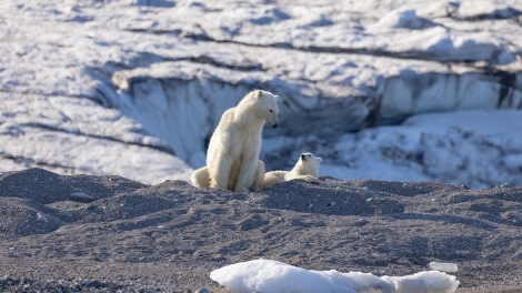 HDS07-24, Day 7, 4Q9A3495 © Katlyn Taylor - Oceanwide Expeditions.jpeg