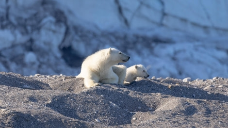 HDS07-24, Day 7, 4Q9A3548 © Katlyn Taylor - Oceanwide Expeditions.jpeg