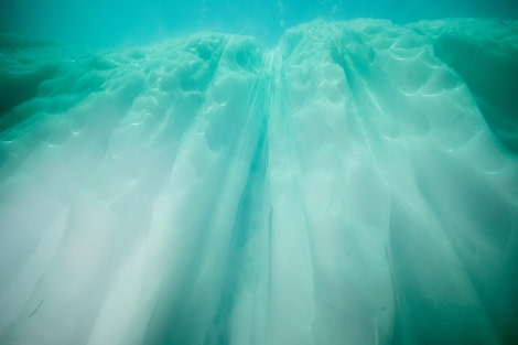 Scuba_Greenland-2017_Ice Wall © Jim van Gogh - Oceanwide Expeditions.jpg