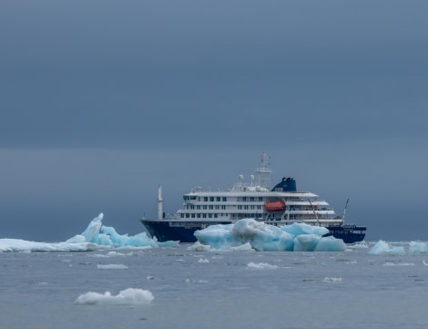 Amid the Arctic ice