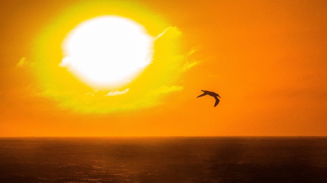 How the Midnight Sun Phenomenon Affects Your Body / Fitness