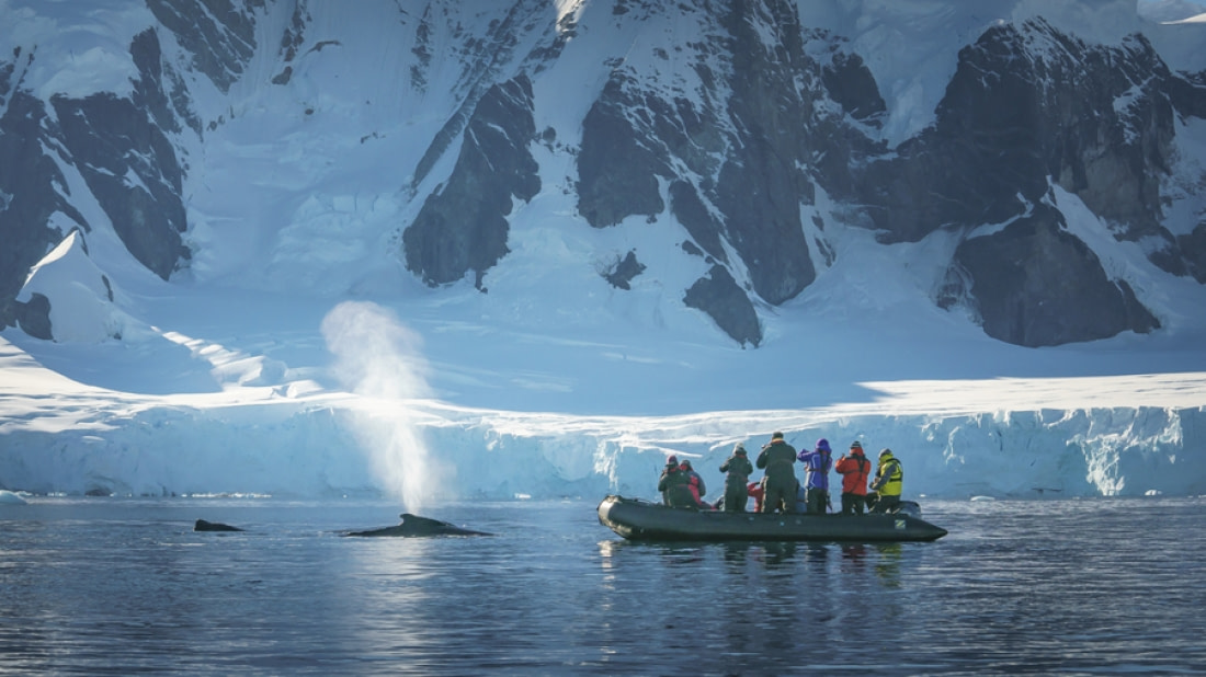 antarctica cruise pictures