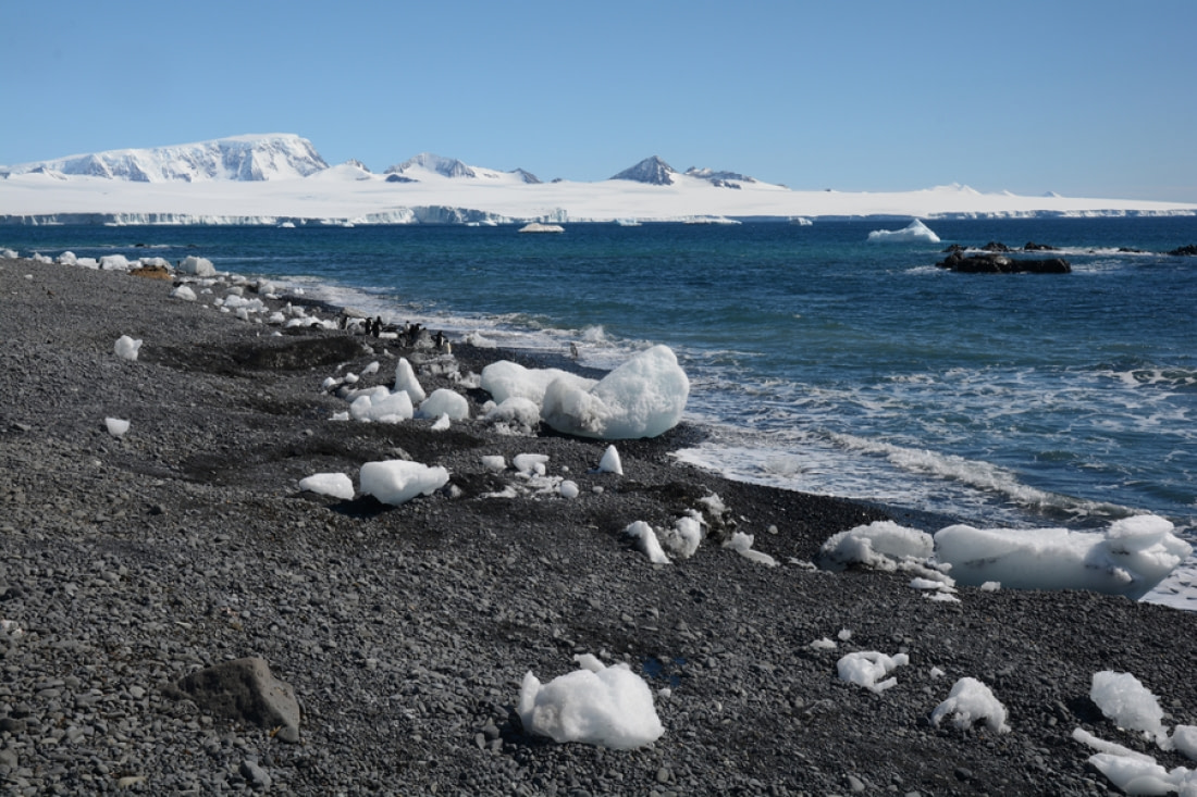 tourist spots in antarctica