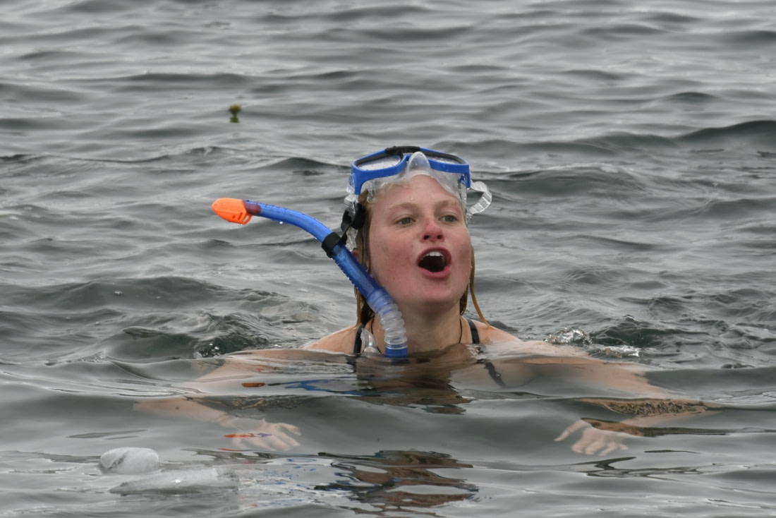 Taking the Polar Plunge, Blog