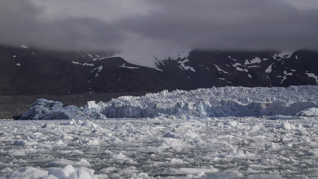 arctic glaciers