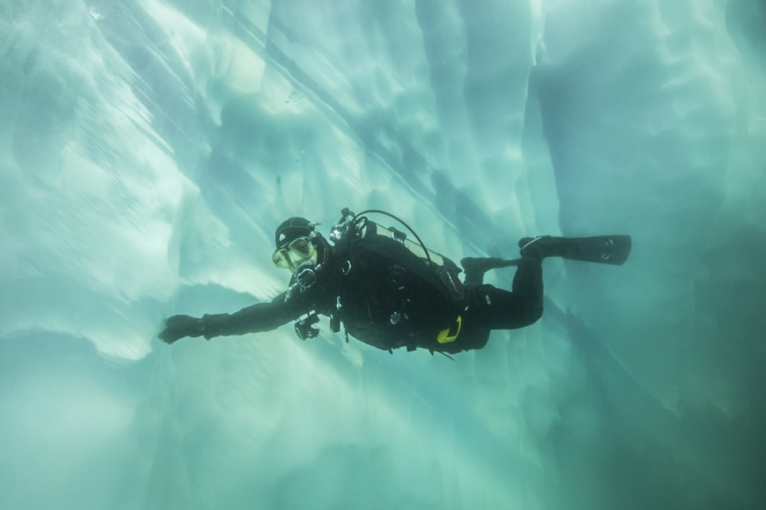 Scuba Diving Trips  Discover the World's most beautiful Polar Diving  locations.