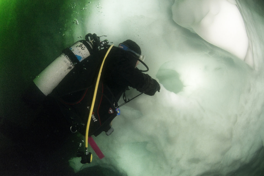 Scuba Diving Trips  Discover the World's most beautiful Polar